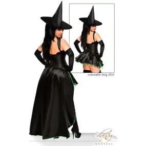 5 Piece Wicked Witch Costume