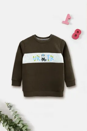 Boys Green Printed Sweatshirt