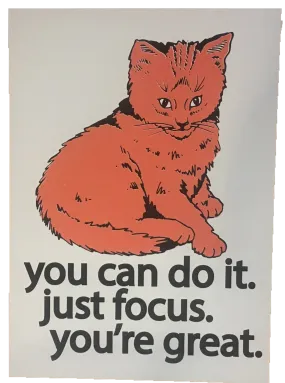 Focus Cat Print - Orange