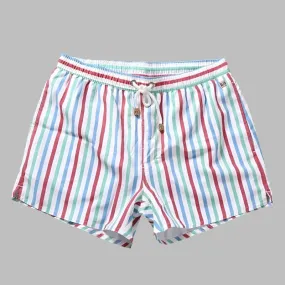 Men's Striped Beach Vacation Shorts: Lined Swim Trunks for Hot Springs