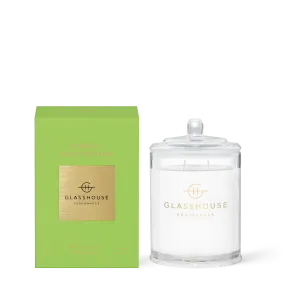 Picture Perfect Palm Springs Candle - (two sizes)