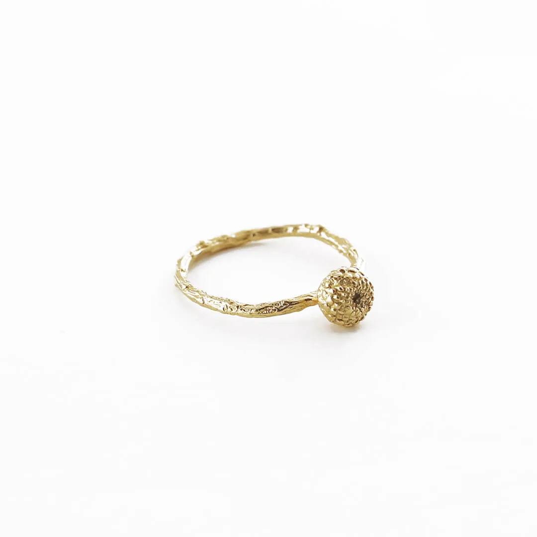 Small round seed of the forest - ring - silver 925 - gold plated